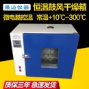 2A电热恒温鼓风干燥箱实验烘箱烘干箱高温烤箱恒温箱 DHG101