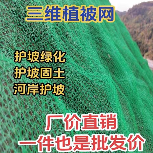 护坡固土三维植被网高速边坡三维网植草网土工网垫厂家防水土流失