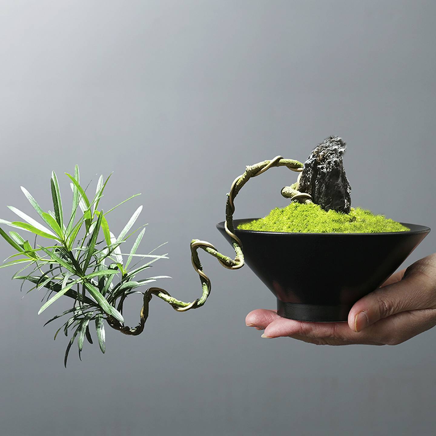 植物文竹罗汉松花盆陶瓷禅意日式剑山插花器室内桌面小盆栽装饰品