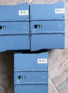 1200，PLC，6ES7 223-1BL32-0XB-议价