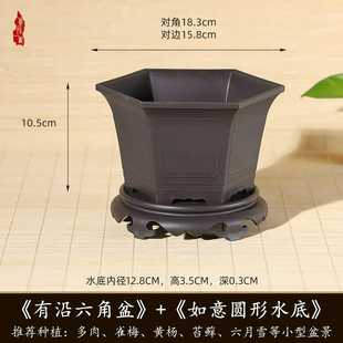 仿紫砂花盆金枝玉叶金弹子文竹室内盆栽盆景盆加厚款树脂花盆批发