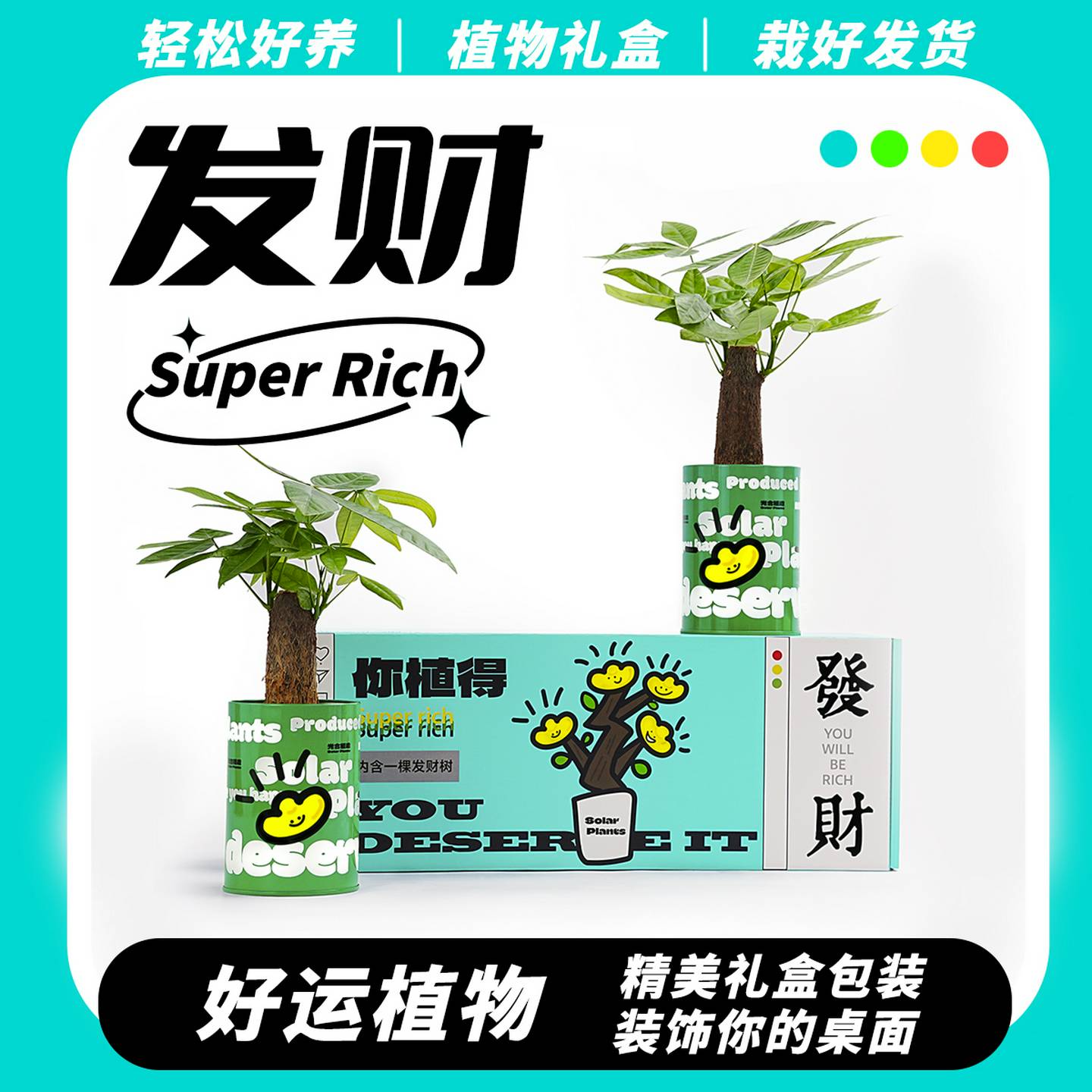 发财树桌面绿植办公室发财树小盆栽室内好养情绪植物礼物光合植物