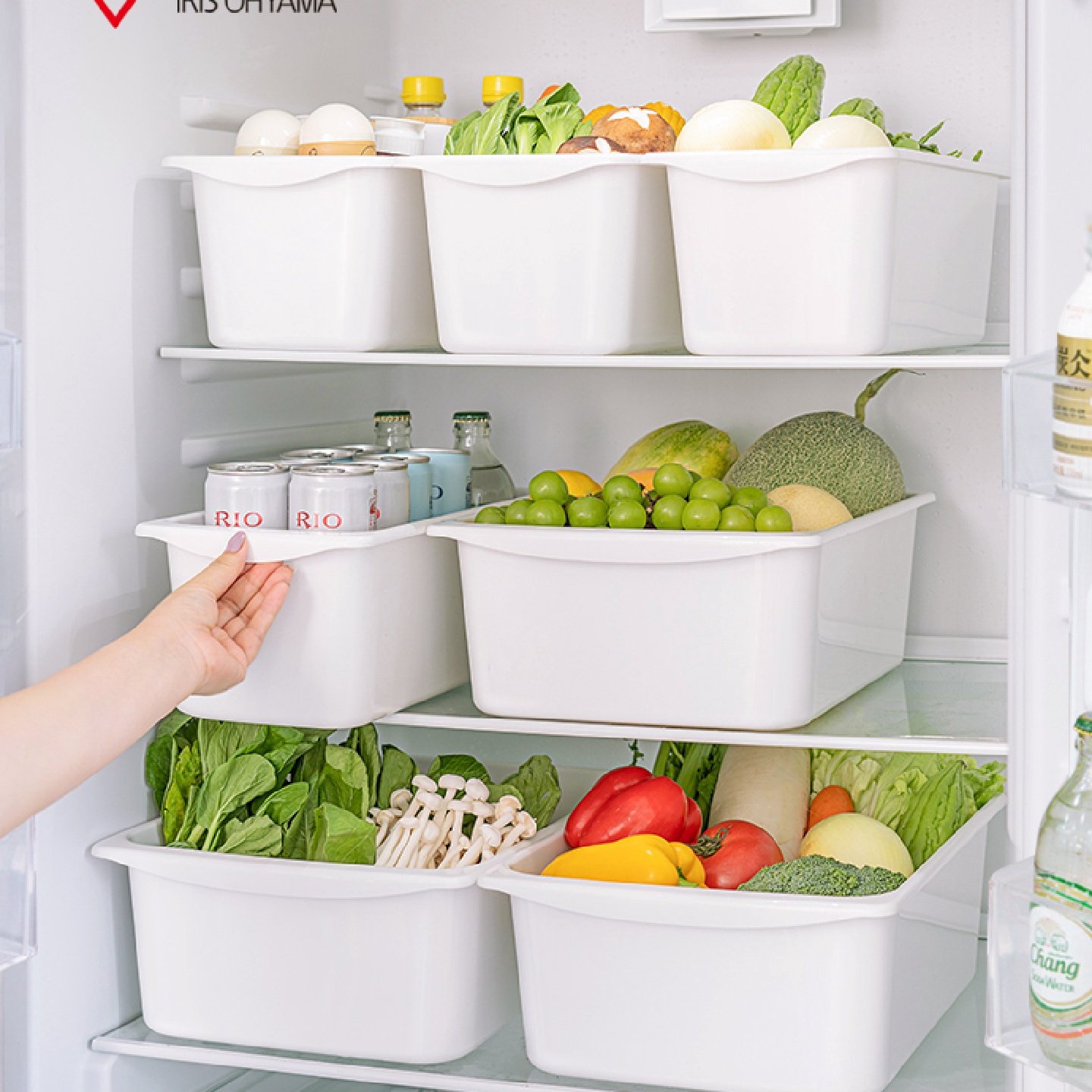 爱丽思冰箱储物盒厨房冷冻食品蔬菜鸡蛋置物整理橱柜抽屉收纳盒,收纳整理,食物收纳盒,淘宝优惠券,粉丝福利购,淘宝优惠卷