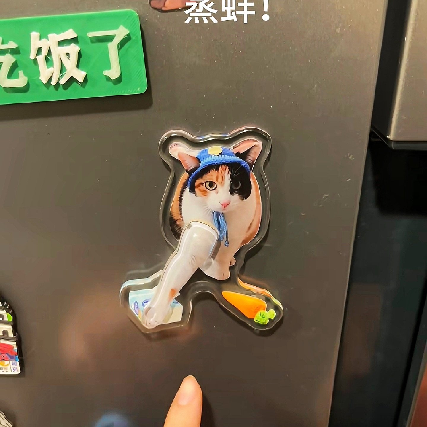 萝卜纸巾猫冰箱贴可旋转察言观色大笨猫蒸蚌趣味亚克力装饰摆件,节庆用品/礼品,文化创意冰箱贴,淘宝优惠券,粉丝福利购,淘宝优惠卷
