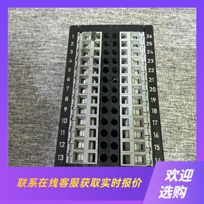 德国爱乐宝ELOBAU 462124E1U模块拍前询价下单