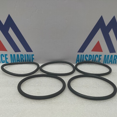 Wartsila 218101001 Joint Torique Pour W6L207166  Ensemble De