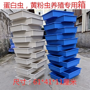 蛋白虫黄粉虫盒养殖箱大麦虫养殖工具塑料盒孵化盘厂家直销
