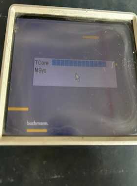 WT205巴赫曼触摸屏液晶老化显示暗拆机成色不错--议价商品