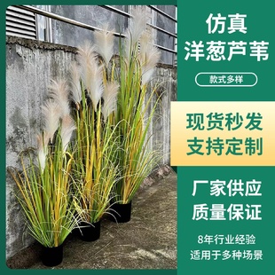 仿真植物仿真绿植仿真芦苇洋葱草仿真草工厂现货三头芦苇人造植物