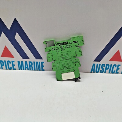 Base Rel Phoenix Contact PLCBSC24DC21 2966016  Lotto Di 4 Pz