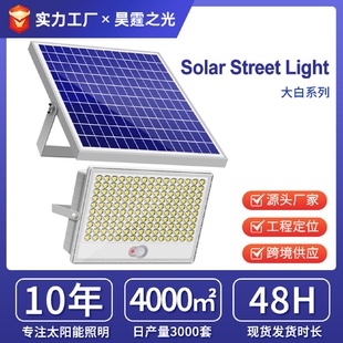 太陽能燈超亮LED投光燈家用戶外庭院燈人體感應新農村室內外路燈