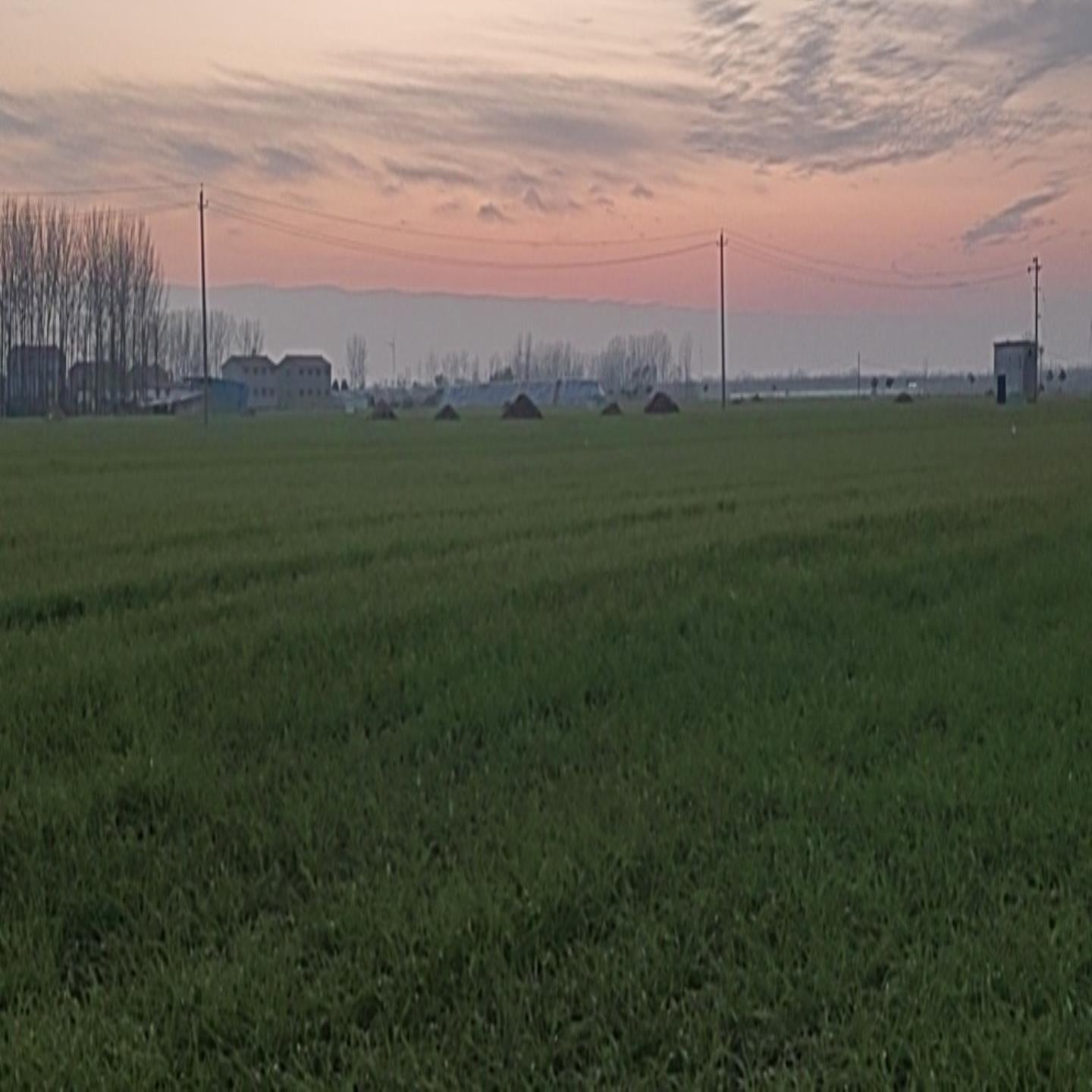 议价梅特勒MMSS11T称重模块