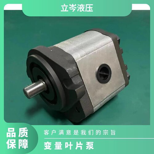 寻I供应WINMOST峰昌油泵VPDF30A30AVPDF40B40B变量叶片泵