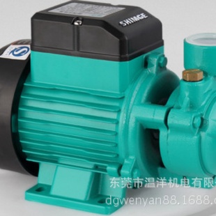 抽水泵自来水加压太阳能用水增压提水家用增压泵 新界QB60L新款