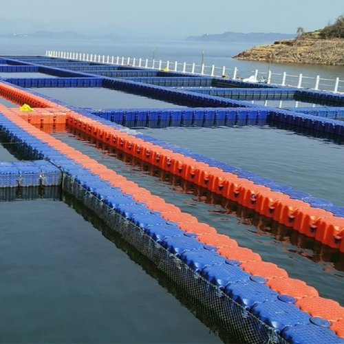 浮筒塑料水上浮台浮筒船筏子渔业吊水泵平台网箱浮桶造船用的浮体