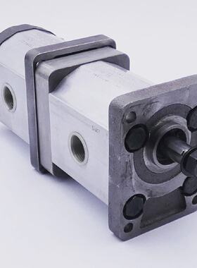 Settima DG3822CC F2AC4 DP  GR332V10CCDP Hydraulikpumpe unuse