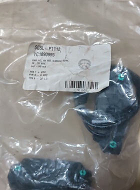 询-德马sick定制SG5LP1112YC10909