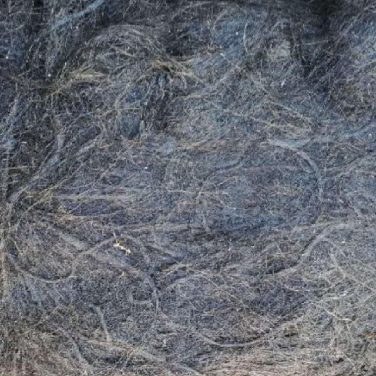 沥青麻丝沥青麻绳沥青麻筋麻絮2cm国标厂家直销伸缩缝填缝麻绳