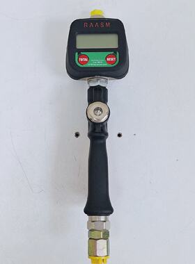 RAASM S.p.A Mod.D.V.12O  20161017150056 Oil Delivery Gun