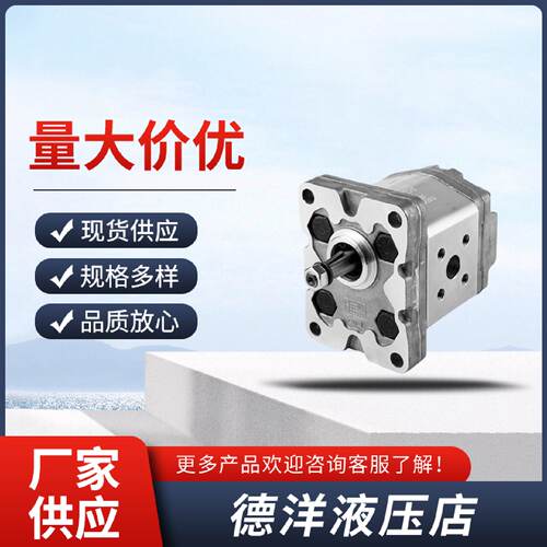 询-DUPLOMATIC迪普马1P1.622.53.34.255.86.77.5R11N齿轮泵