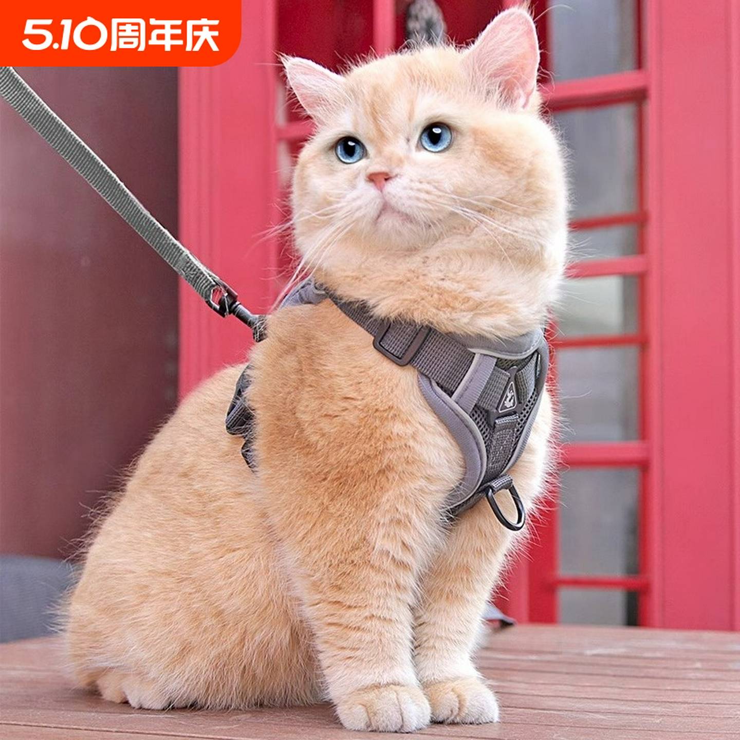 猫咪牵引绳外出专用防挣脱溜猫绳链子可调节宠物背带遛猫神器胸背