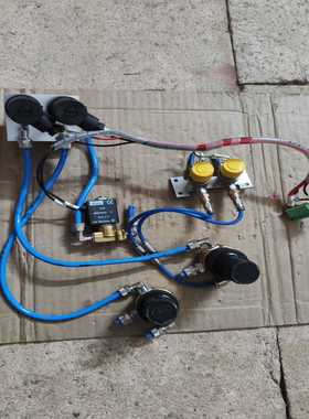 询价意大利EUROSWITCH41V10G12MDKL34