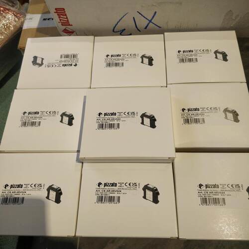询》皮扎特PIZZATO安全继电器CSAR05V024现议价