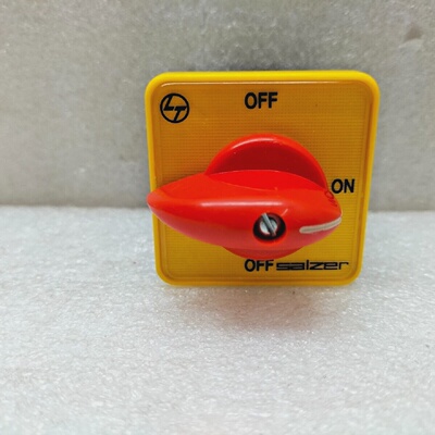 LT Salzer Interrupteur Rotatif Command Par Came 16A Industri