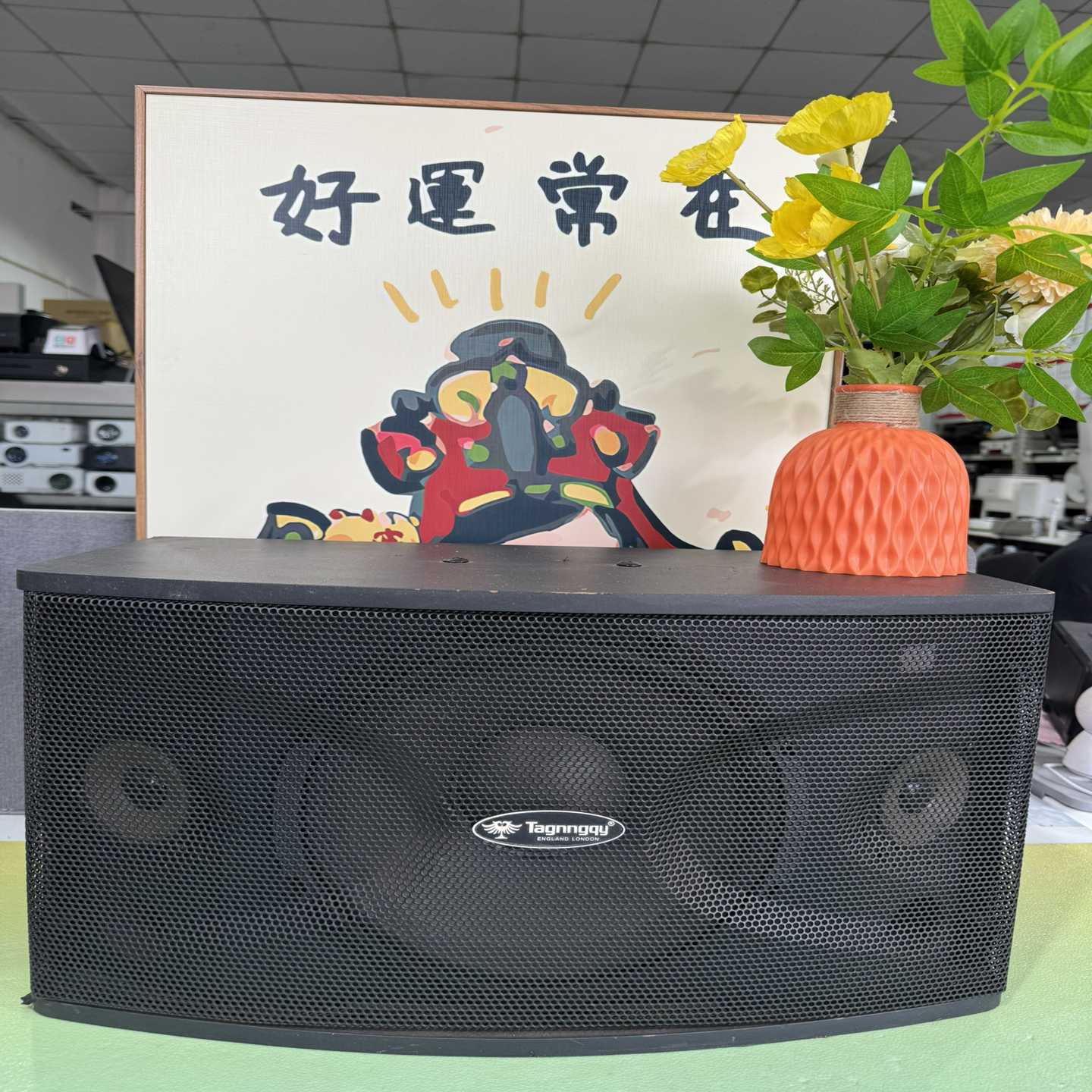 天朗音箱一只.，型号CS-480，8欧，90dB，100W，--议价商品