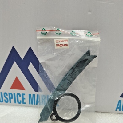 Kaefer 100000140 Dichtungssatz