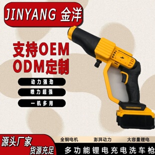 无线便携式 德伟款 洗车枪锂电高压洗车水枪家用洗车机