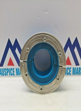 RoxtecRS125AISI316Seal