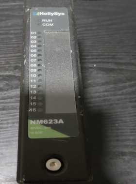 HOLLYSYS模块 NM623A.  SOE 成色如图所示【白零商行】
