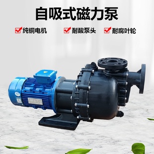 耐腐蝕化工自吸式 塑料大頭馬肚泵臥式 磁力泵脫硫泵電鍍水冷循環(huán)泵