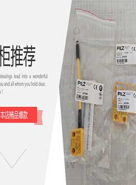 隆兴*销售*全新Senex森纳士压力开关 DG1300-BZ-A-2-20CJAFFY*