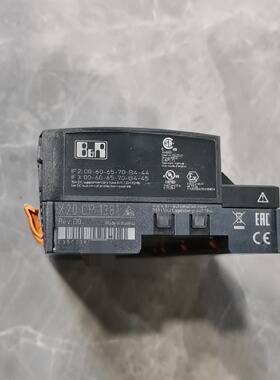 贝加莱BRX20CP模块型号X20CP1381奥地