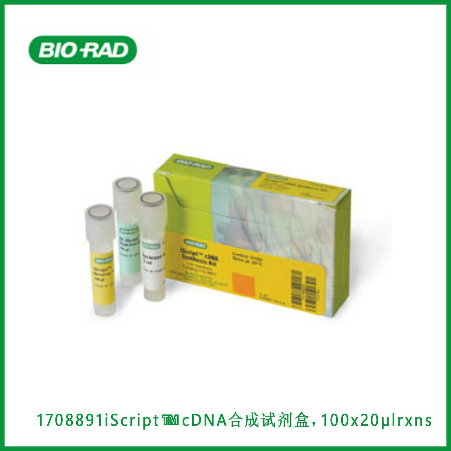B-R1708891Scpt? cDNA合成试剂盒