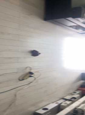 明基MS513P投影仪，3D高清投影机，2700流明亮度，1--议价商品