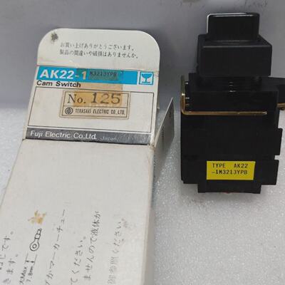 Interruptor De Palanca Fuji Electric AK221 M3213YPB Ei 600V