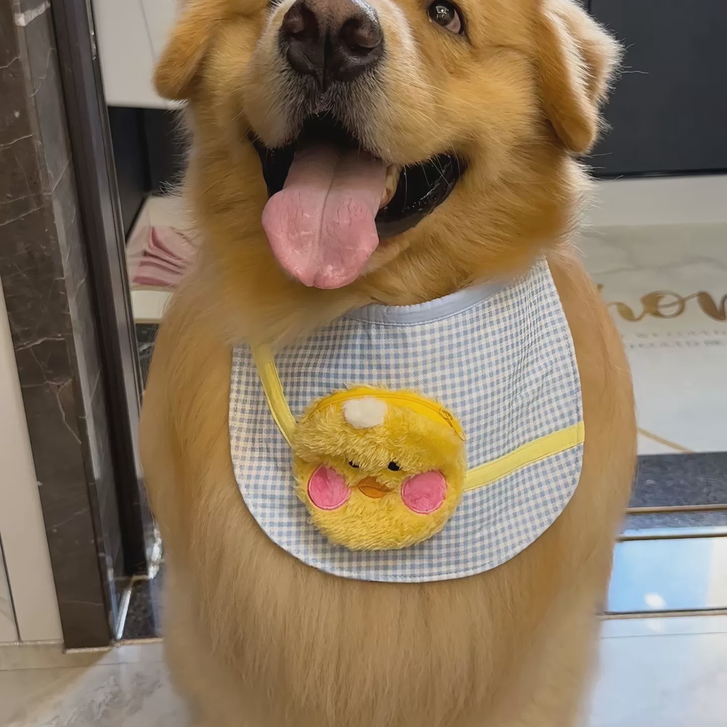 新款小黄鸭背包宠物狗狗口水巾中大型犬防水围兜萨摩耶