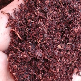 降真香粉海南缅甸棋楠老料高油沉水精油纯露睡眠安神香薰持久制香