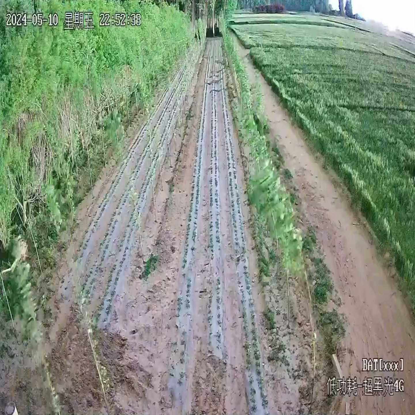 晚上11点全彩太阳能4G球机--议价商品