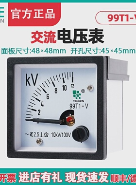 TENGEN天正电气99T1-V电压表指针式交流电压表450V12KV48*48mm