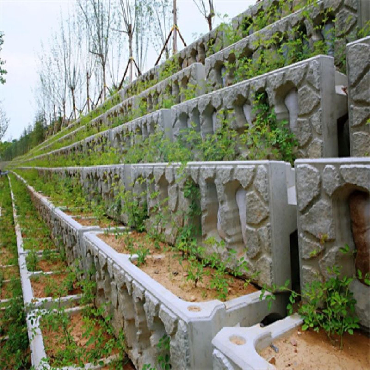 混凝土预制生态护坡框鱼巢式护坡框平铺植草框格阶梯式护坡框,基础建材,排水沟槽/盖板,淘宝优惠券,粉丝福利购,淘宝优惠卷