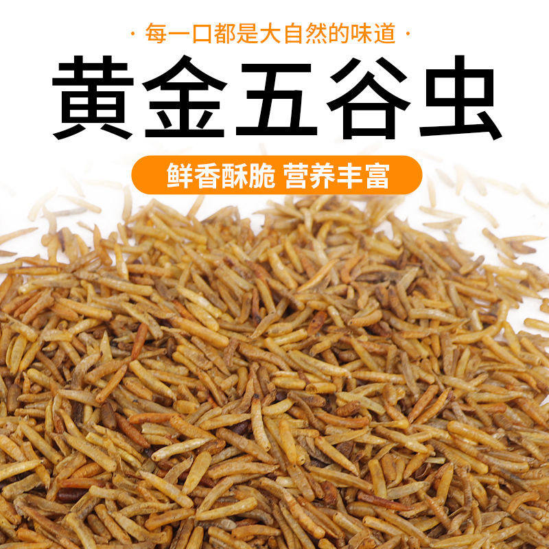 五谷虫鸟食芦丁鸡五谷虫干 蛆虫干八哥白头翁画眉鸟饲料零食50