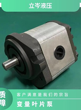 迅供应WINMOST峰昌油泵VPDF30A30AVPDF40B40B变量叶片泵