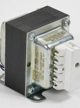 RS Auto Transformer 100VA 210825