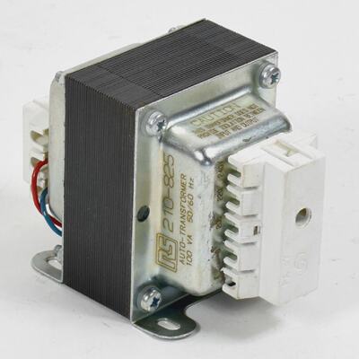 RS Auto Transformer 100VA 210825