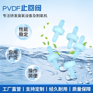 PVDF止回阀单向阀逆止阀耐臭氧防止水倒流水处理用止回阀