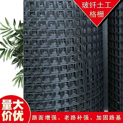 土工格栅塑料玻纤格栅钢塑格栅单向双向三向格栅护坡路基厂家直销